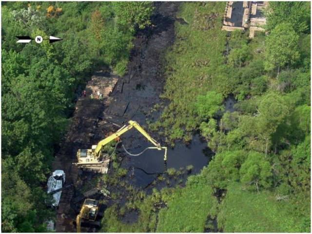 Cleanup Efforts in an Oil-Soaked Wetland near the Rupture Site